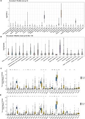 Comprehensive Pan-Cancer Analysis of TRPM8 in Tumor Metabolism and Immune Escape